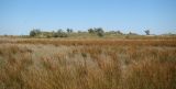 Витязевская коса, image of landscape/habitat.