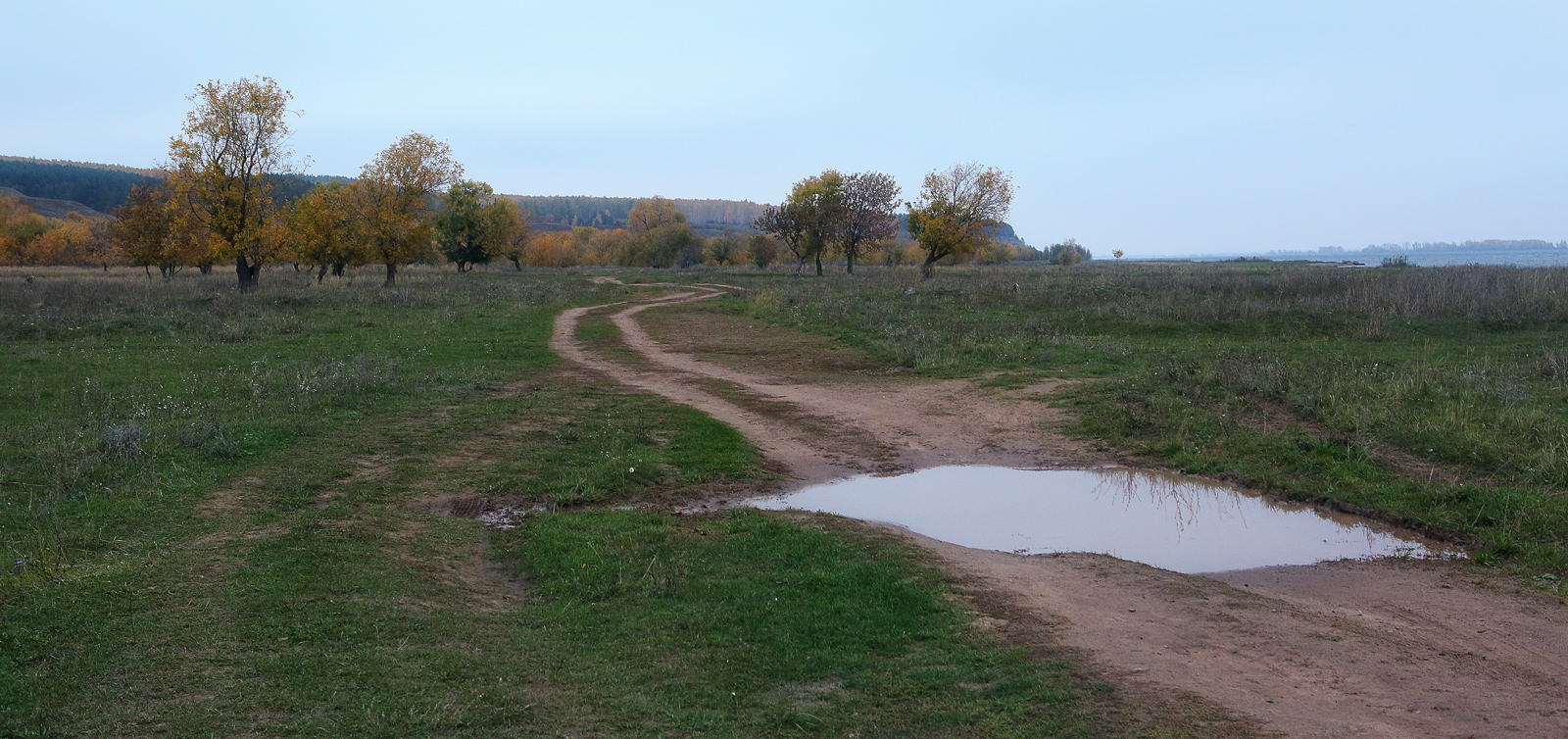 Окрестности села Красный Бор, image of landscape/habitat.