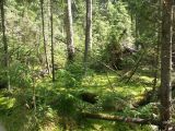 Image of landscape