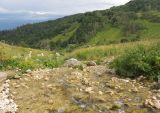 Image of landscape