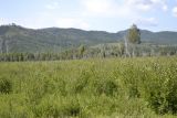 Image of landscape