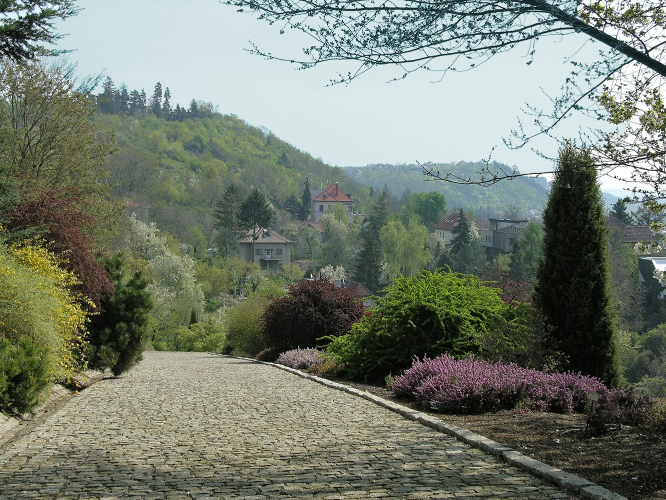 Ботанический сад в Трое, image of landscape/habitat.