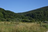 Image of landscape