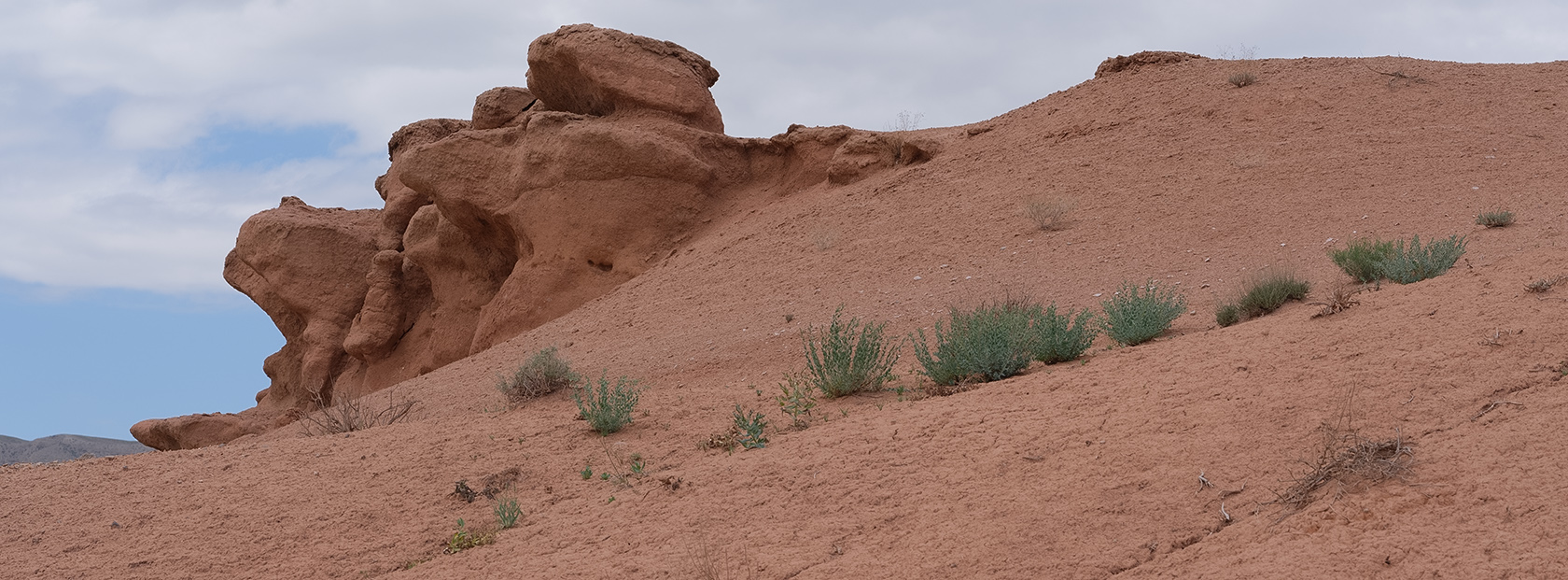 Мадыген, image of landscape/habitat.