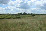 Image of landscape