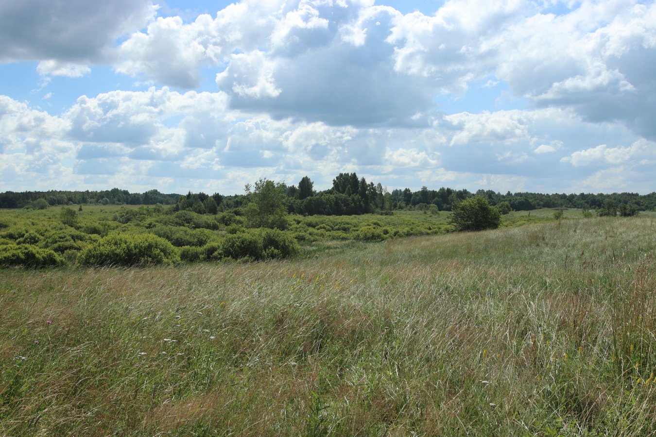 Местечко и окрестности, image of landscape/habitat.