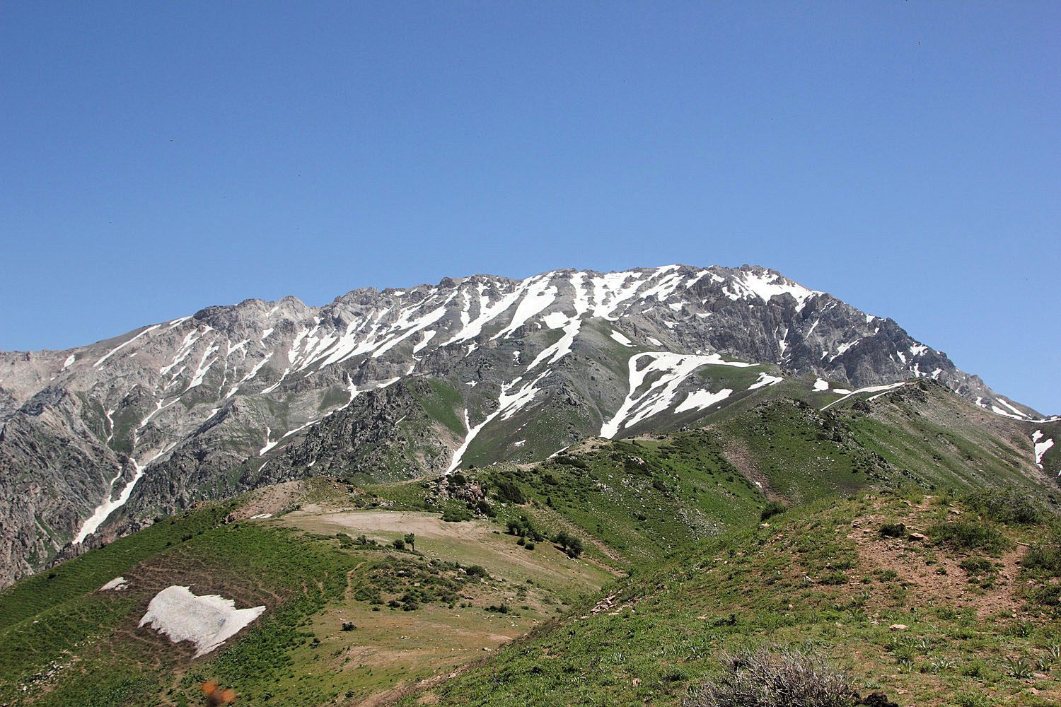 Западный гребень Бол. Чимгана, image of landscape/habitat.