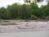 Север Осетинской равнины, image of landscape/habitat.