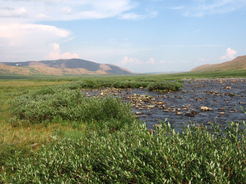 Большая Лагорта, изображение ландшафта.