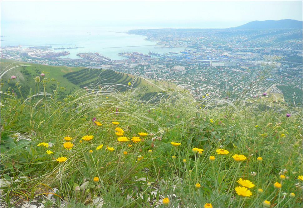 Гора Лысая-Новороссийская, image of landscape/habitat.