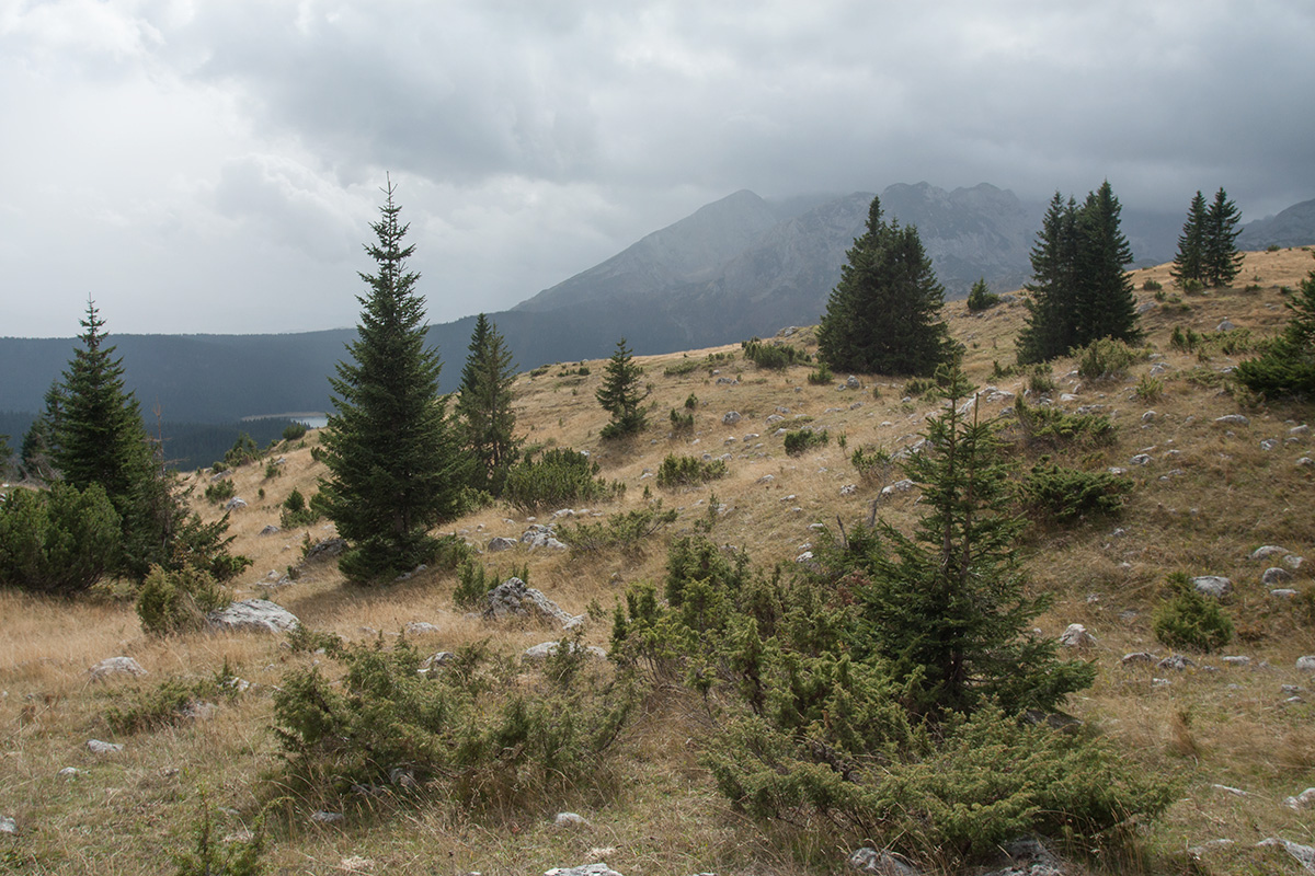 Дурмитор, image of landscape/habitat.