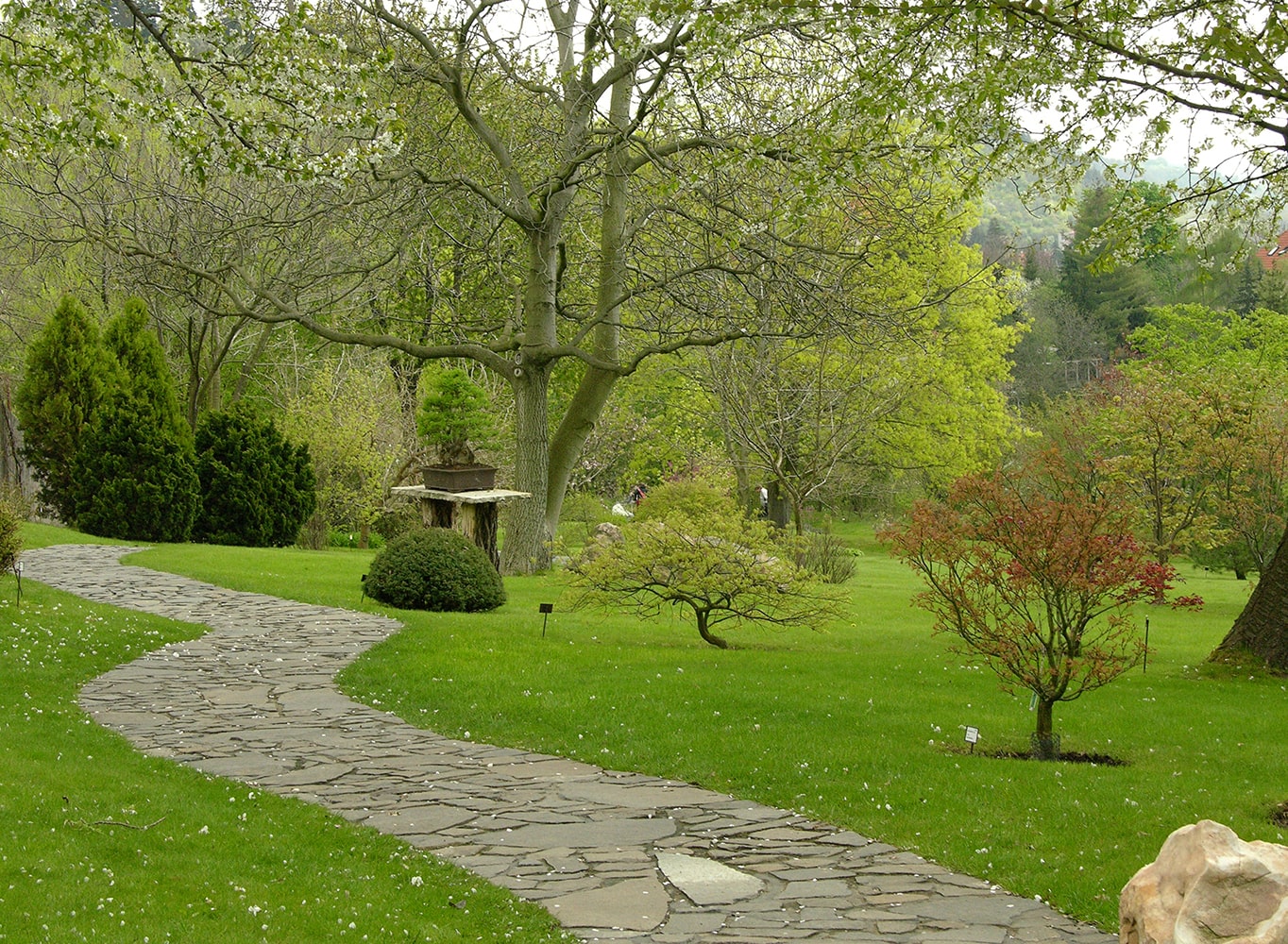 Ботанический сад в Трое, image of landscape/habitat.