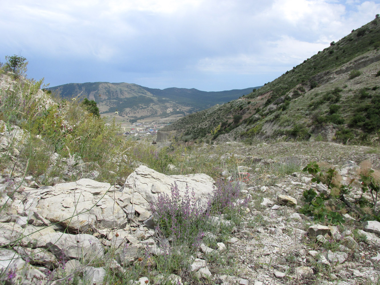 Талги, image of landscape/habitat.