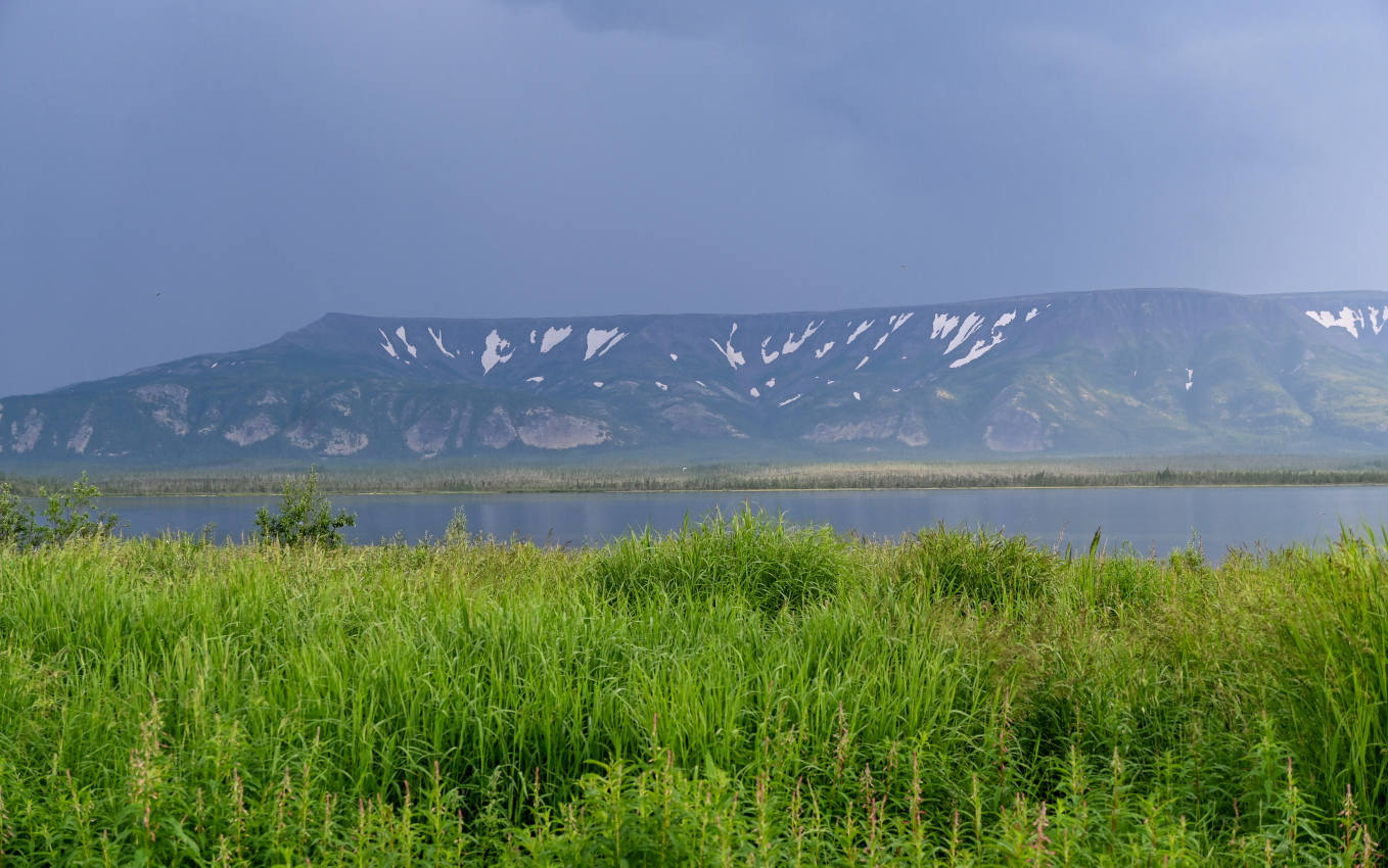 Посёлок Хантайское Озеро, image of landscape/habitat.