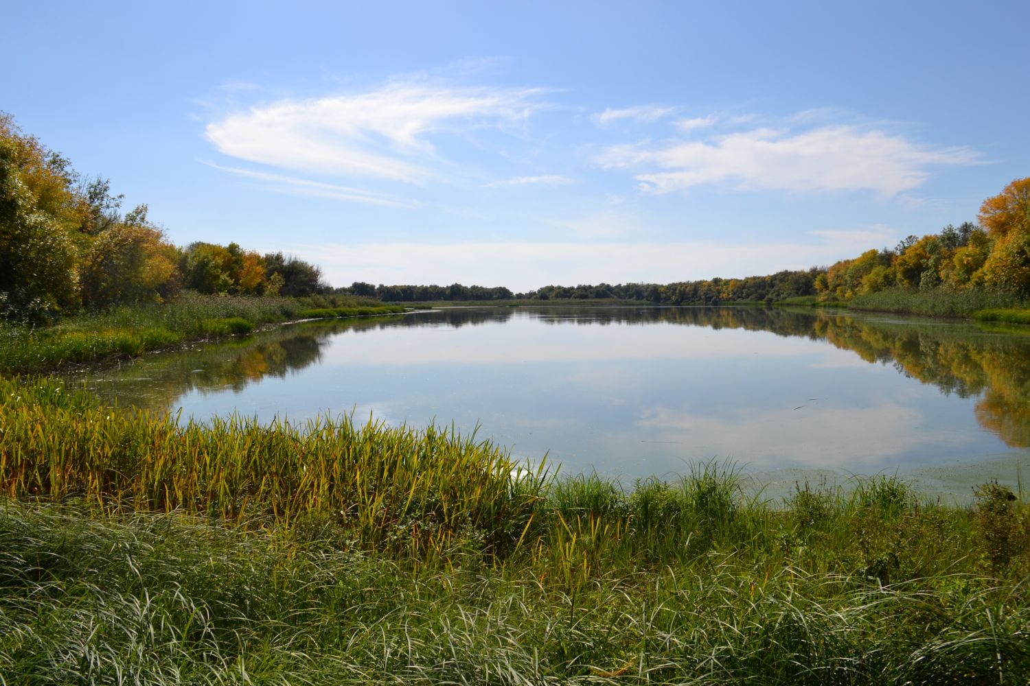 Астрахань, image of landscape/habitat.