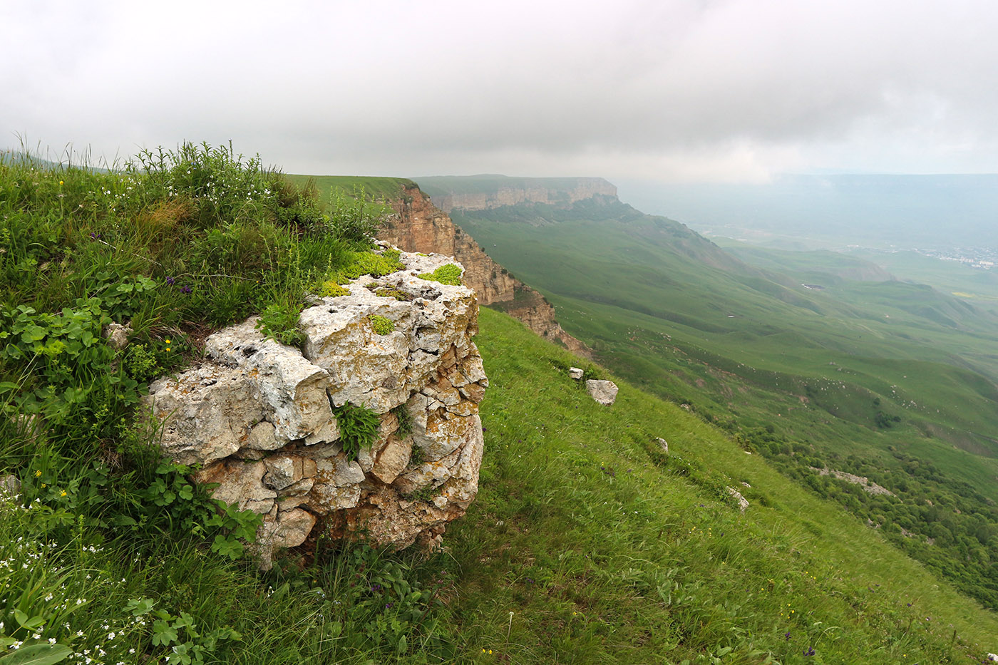 Джангур, image of landscape/habitat.