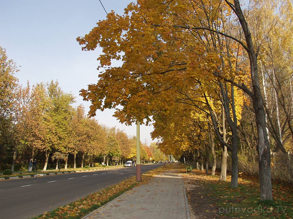 Дубна, image of landscape/habitat.