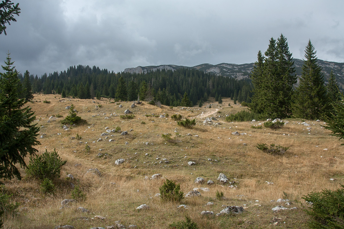Дурмитор, image of landscape/habitat.