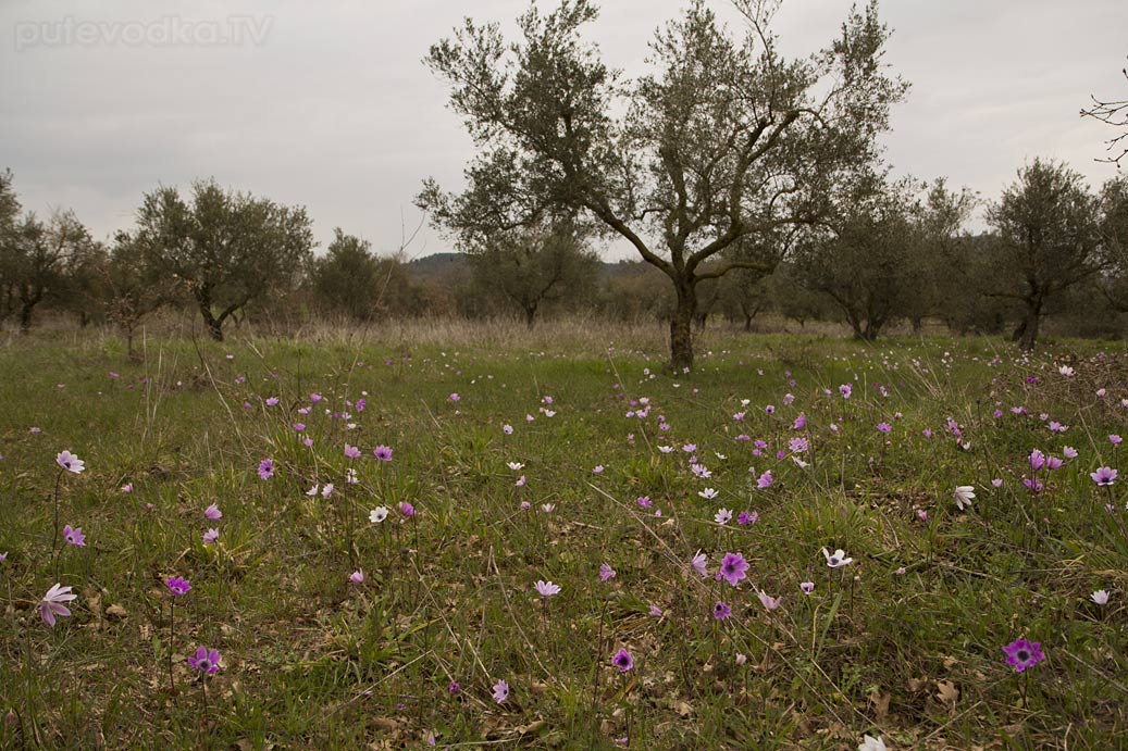 Плотина Пиньос, image of landscape/habitat.