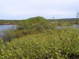 Image of landscape