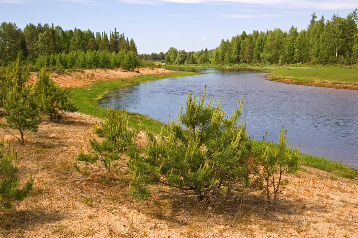 Долина реки Весляна, image of landscape/habitat.