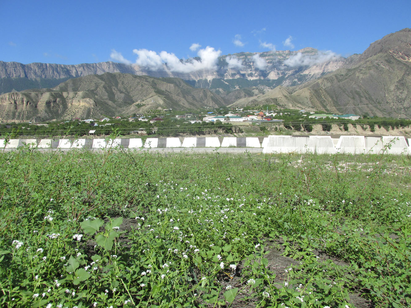 Долина Ирганайского вдхр., image of landscape/habitat.