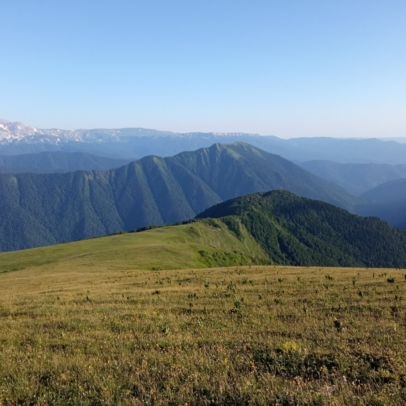 Урочище Абаго, изображение ландшафта.