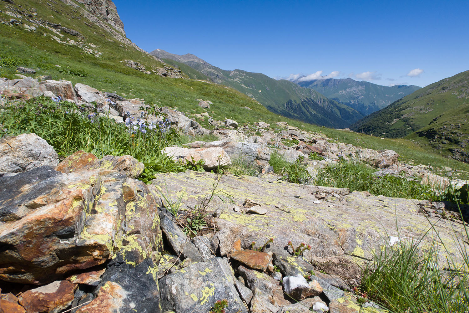 Верхняя стоянка Имеретин. тропы, image of landscape/habitat.