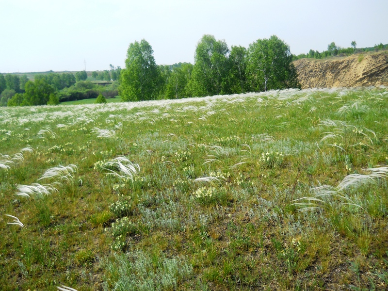 Долина реки Шипунихи, image of landscape/habitat.