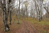 Херсонка, image of landscape/habitat.