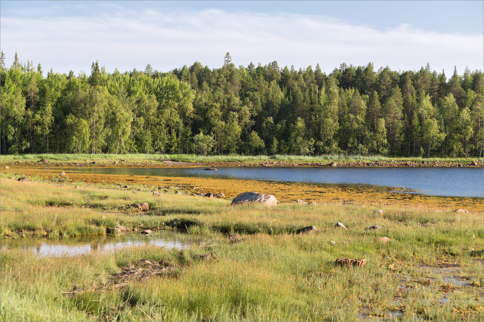 Чкаловский, image of landscape/habitat.