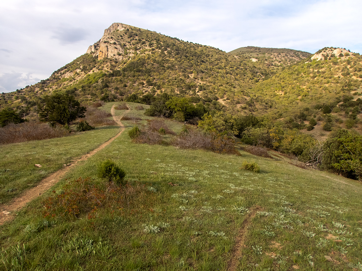 Хребет Токлук-Сырт, image of landscape/habitat.