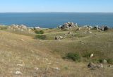 Казантип, image of landscape/habitat.
