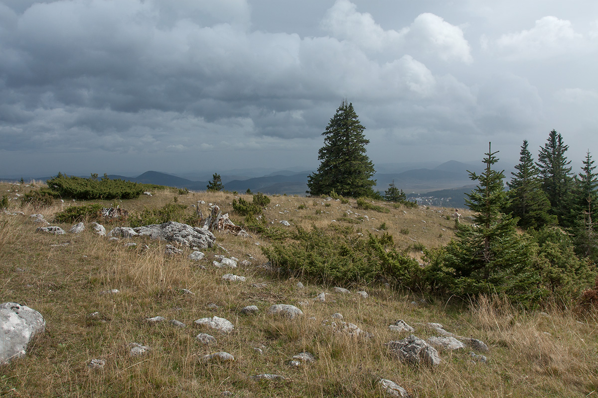 Дурмитор, image of landscape/habitat.