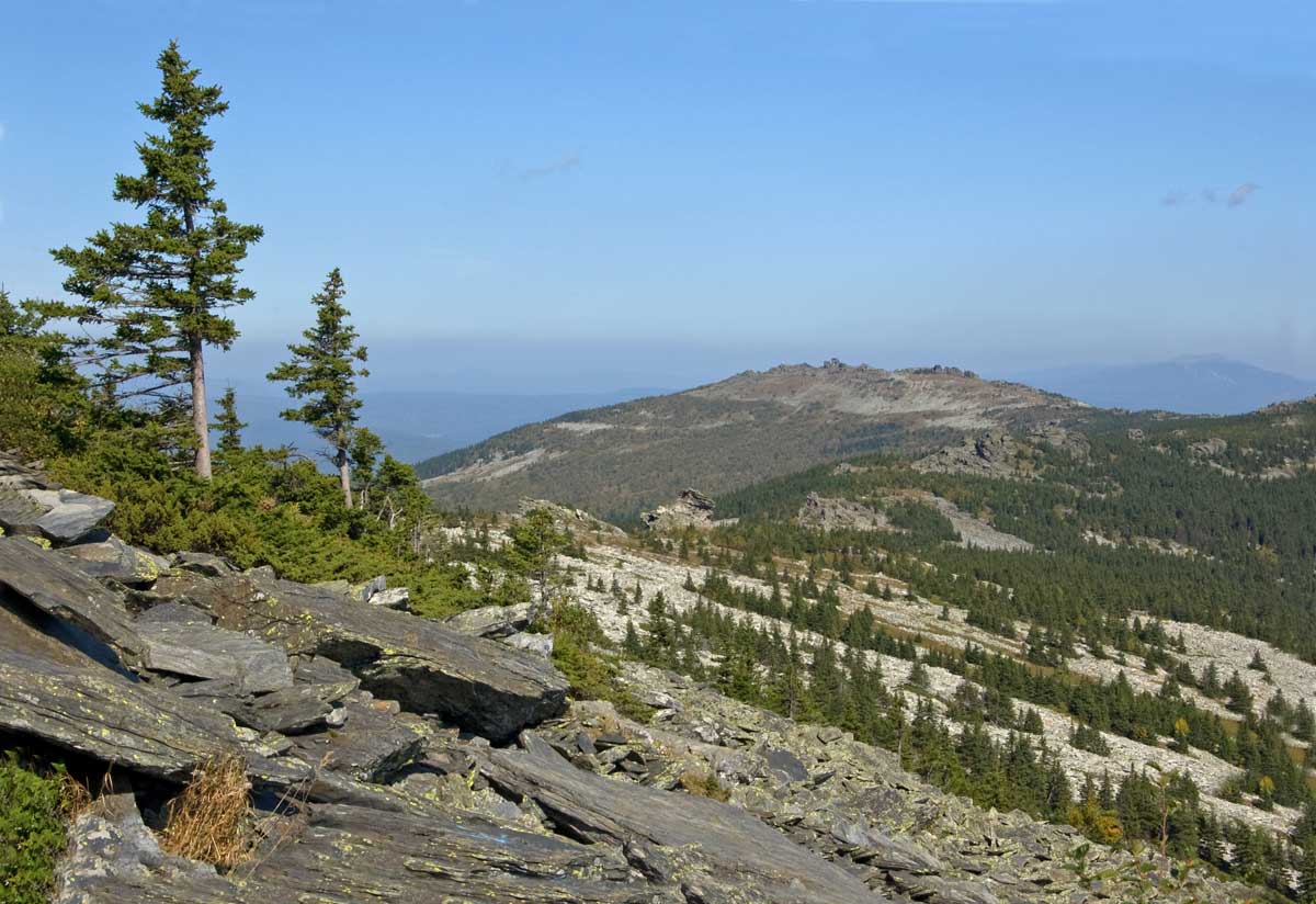 Хребет Уреньга, image of landscape/habitat.