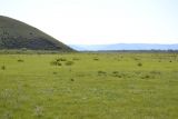 Landscape image