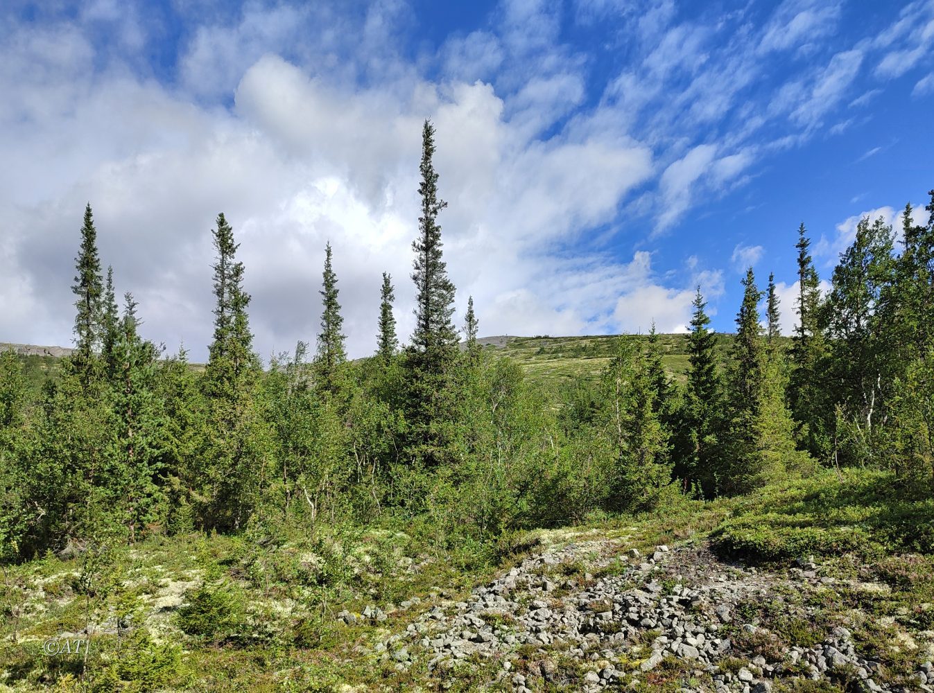 Верховья руч. Сев. Каскаснюнйок, image of landscape/habitat.