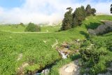 Ручей Гремячий и окрестности, image of landscape/habitat.