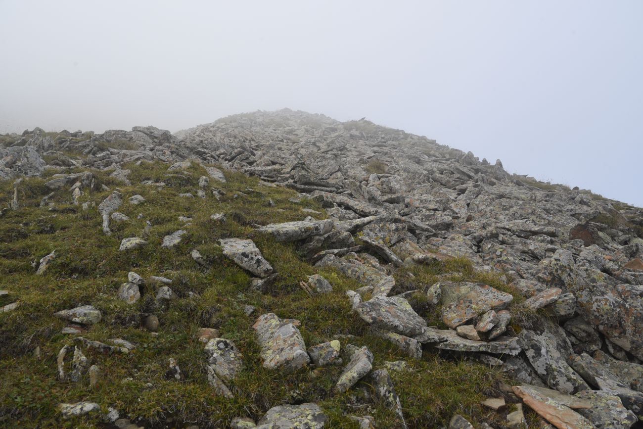 4 км от Цумандинского перевала, image of landscape/habitat.