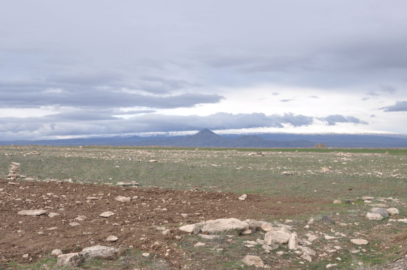 Дюзгечит, image of landscape/habitat.