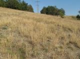 Симферопольское Водохранилище, image of landscape/habitat.