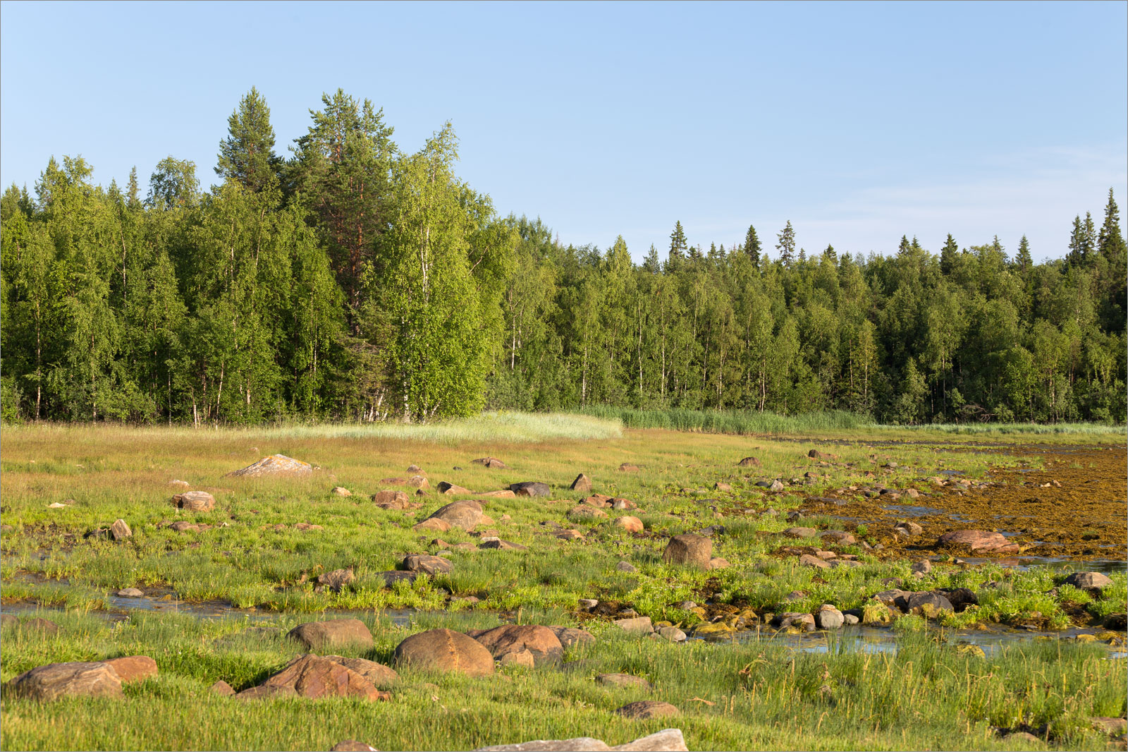 Чкаловский, image of landscape/habitat.