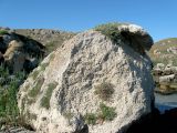 Image of landscape