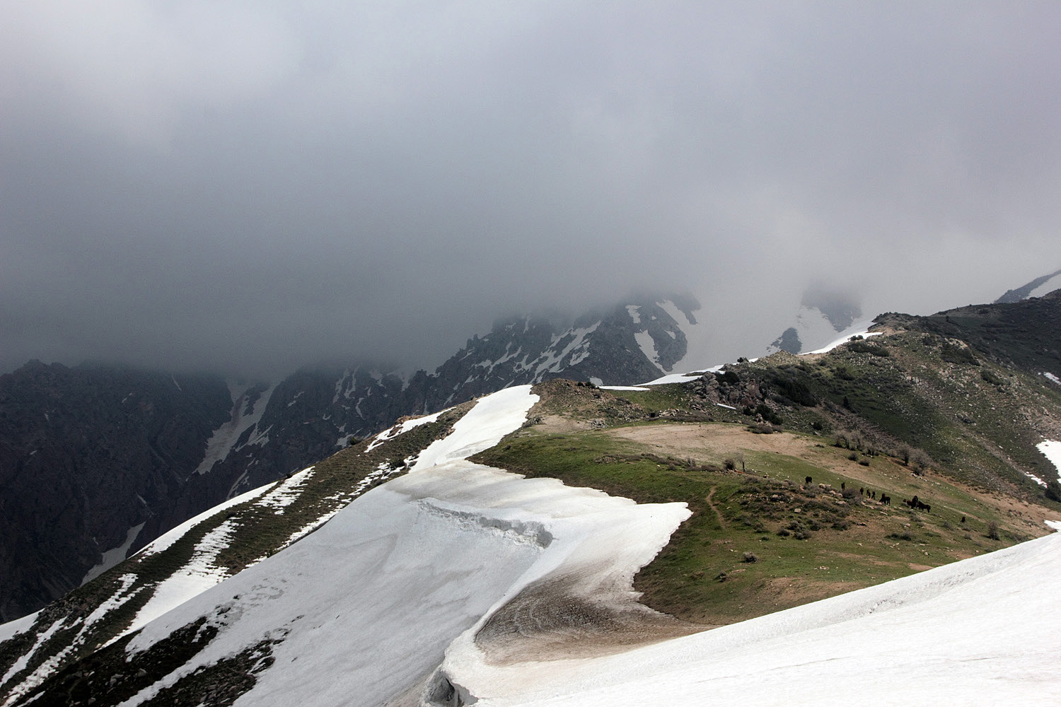 Западный гребень Бол. Чимгана, image of landscape/habitat.