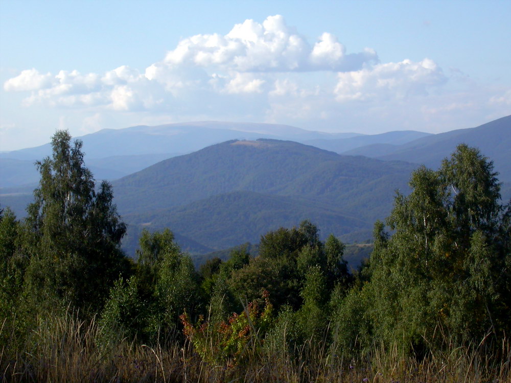 Свалява, image of landscape/habitat.