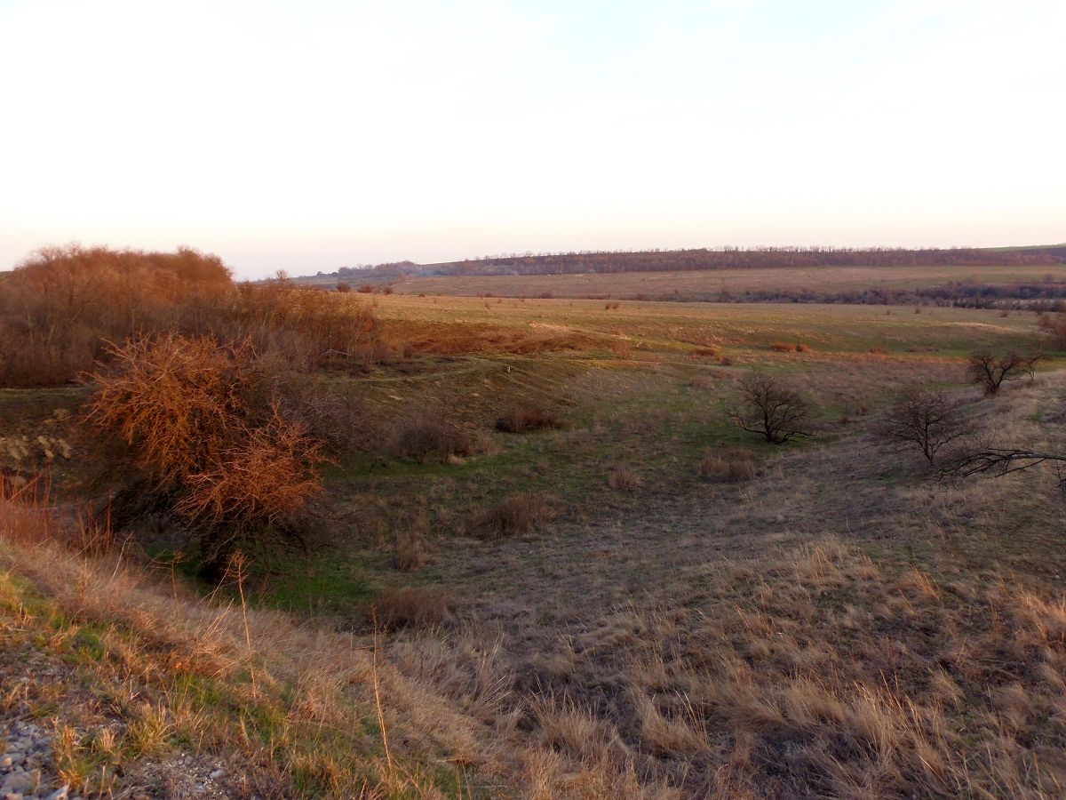 Балка Партизанская, image of landscape/habitat.