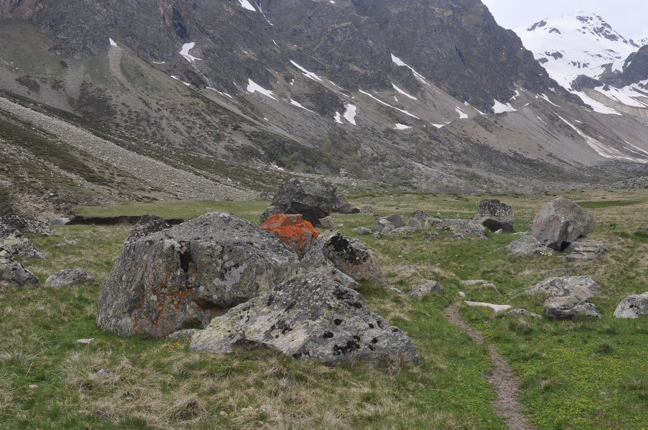 Урочище Экяра, image of landscape/habitat.