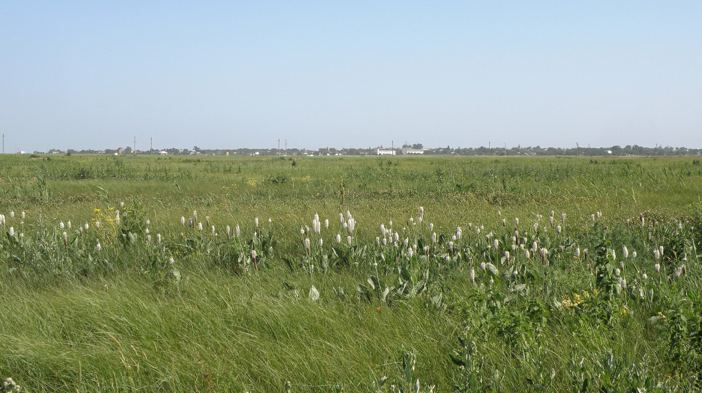 Урочище Выселки, image of landscape/habitat.