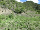 Image of landscape