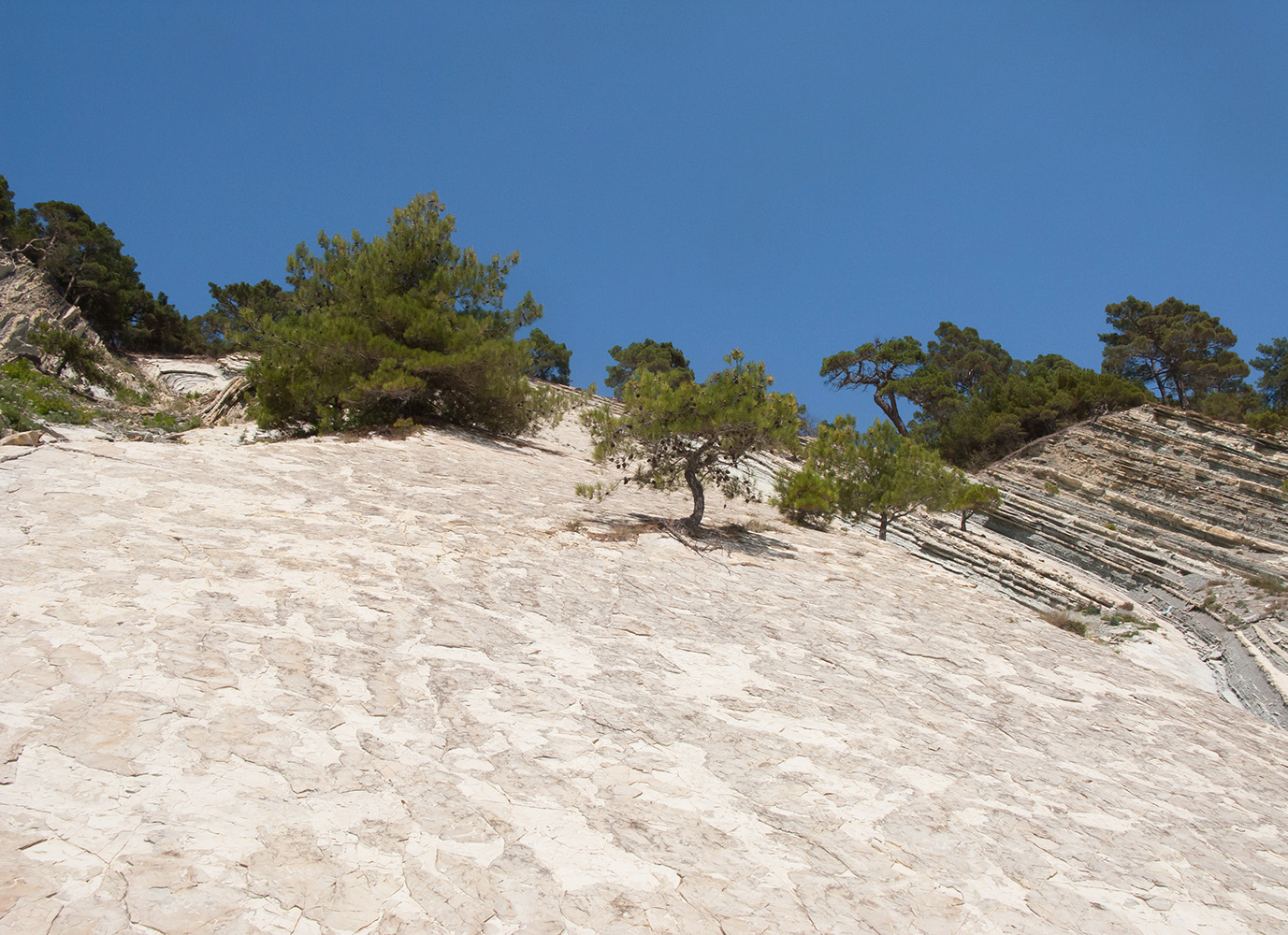 Дооб, image of landscape/habitat.